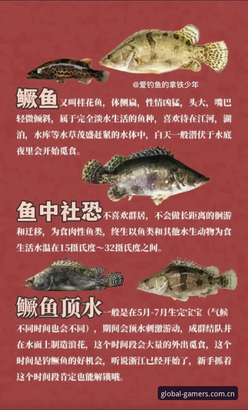 爱游戏体育平台v6.2.0更新深度分析：避开90%用户踩过的三大下载与登录陷阱